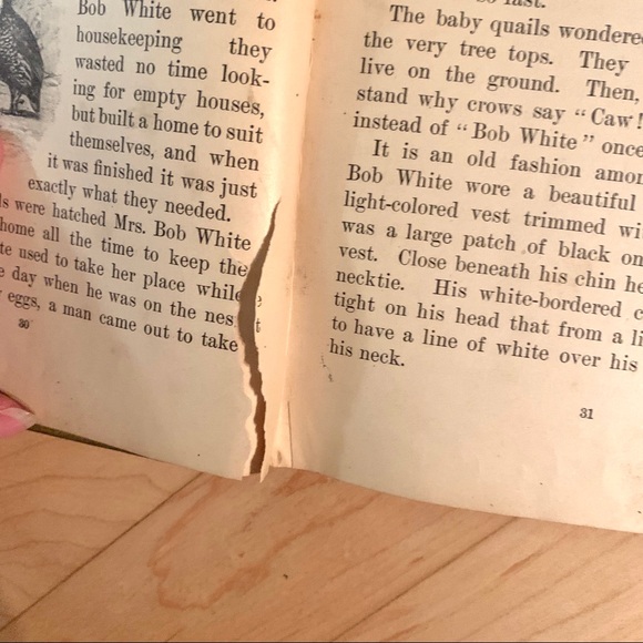 1901 Vintage Hardcover Schoolbook Green and Red - Picture 14 of 16